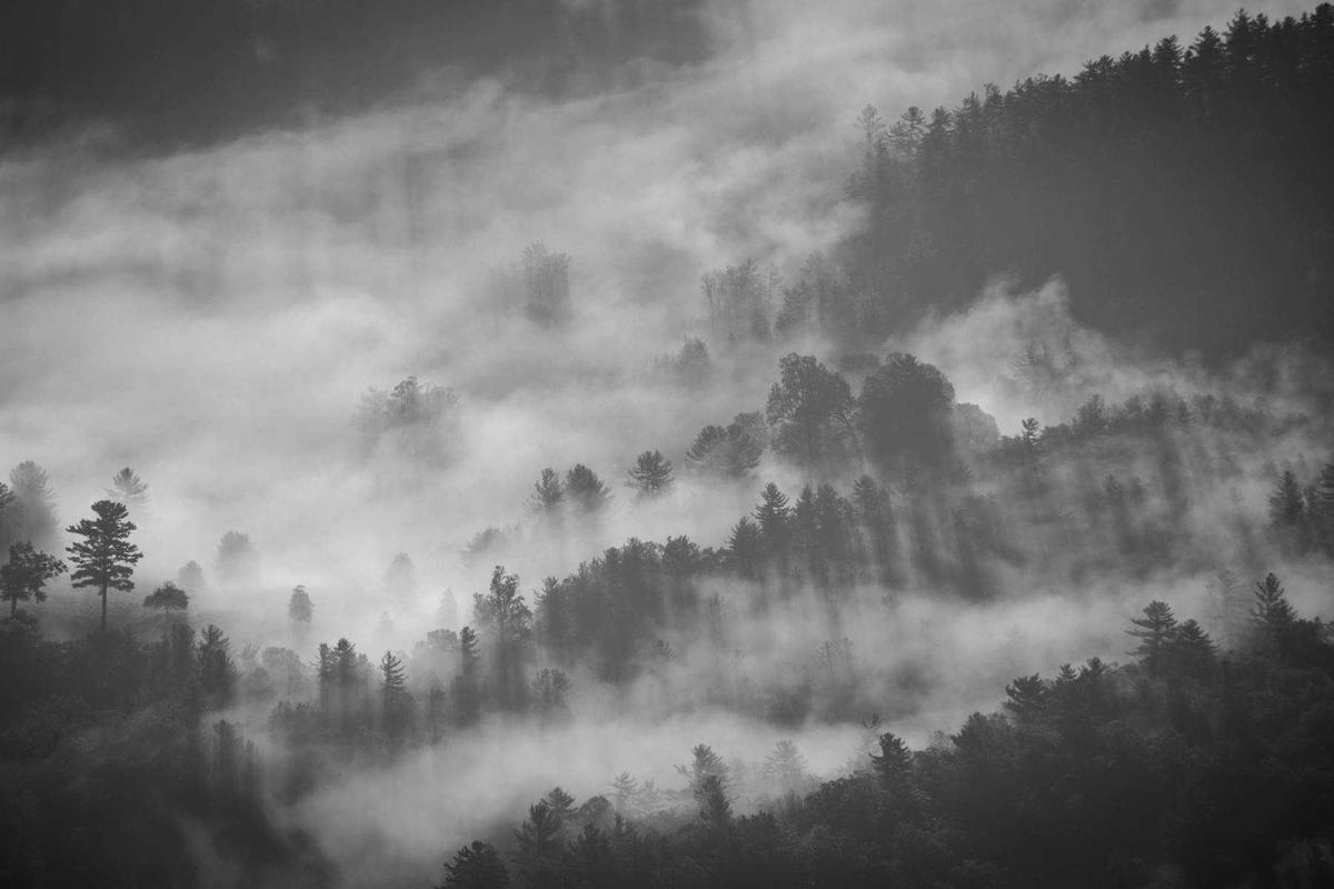 Équipe de Ravenmoon Watch débarrassant un local à Rennes